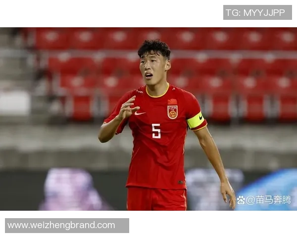 国内足球退役球星回顾与现状分析 如何影响中国足球未来发展 国内足球退役球星回顾与现状分析 如何影响中国足球未来发展